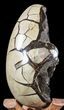 Septarian Dragon Egg Geode - Black Crystals #55493-2